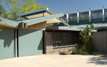 Butterfly Collecting