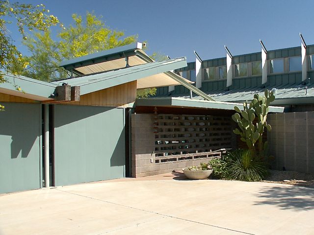 Butterfly Collecting