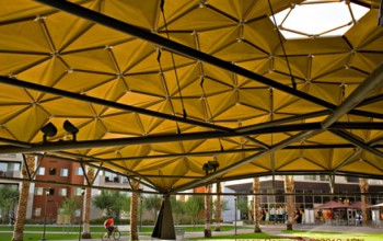 In search of answers…