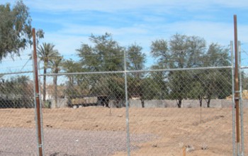 ARCHITECTURE TERRORISTS?